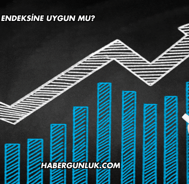 Gıpta Katılım Endeksine Uygun mu?