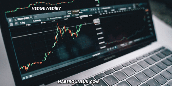 Hedge Nedir?