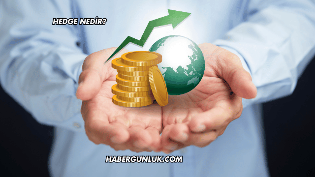 Hedge Nedir?